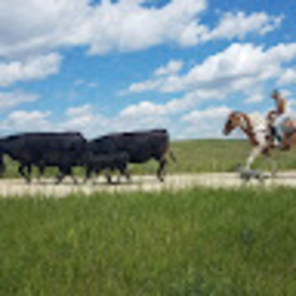 Meet your Posher, Retta - Picture 1 of 1